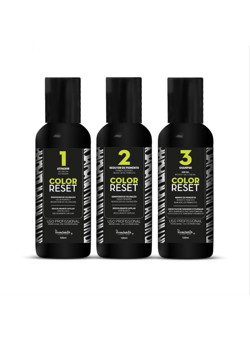 COLOR REST Iluminata Artistic Color Color Reset Professional Hair Color Remover - 4 Applications - Image 2